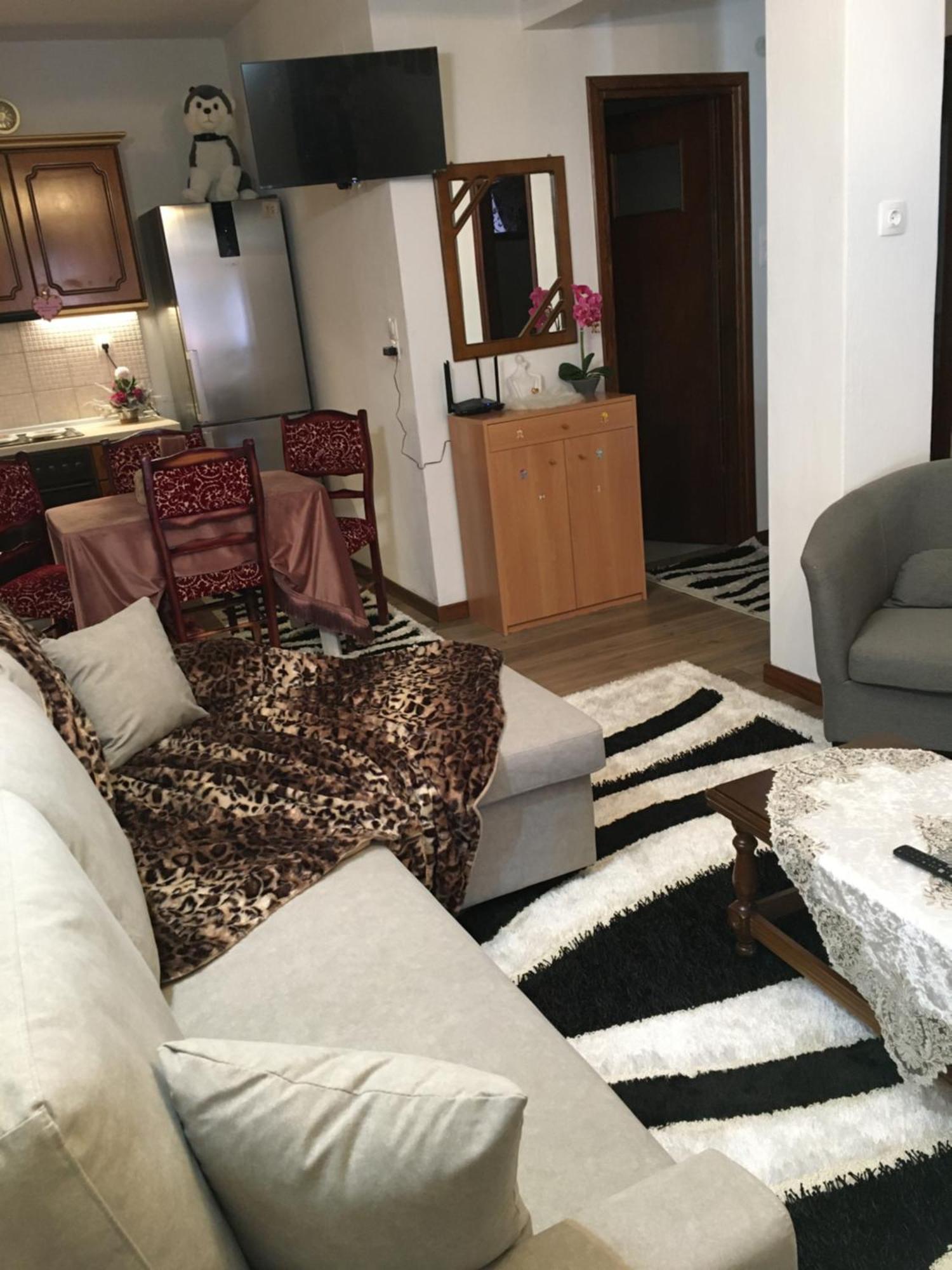 Apartment Agapi's House Metsovo
