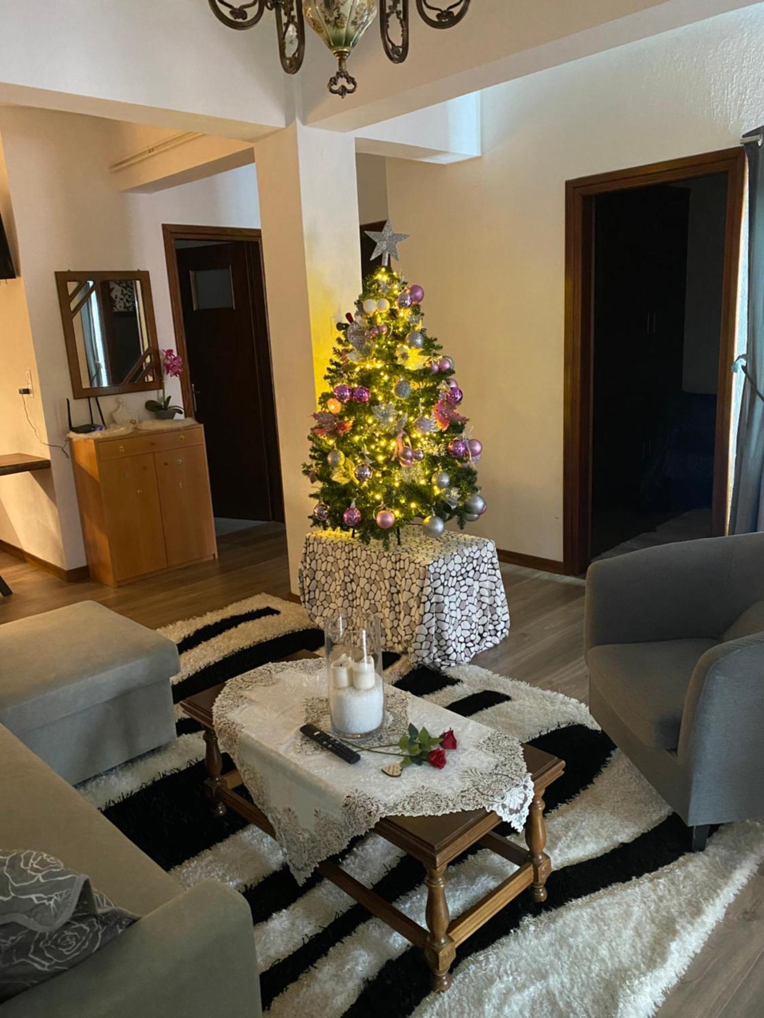 Apartment Agapi's House Metsovo